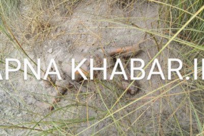 कोरबा बिग ब्रेकिंग,,,हत्या है या आत्महत्या ये जांच के बाद  होगा स्पष्ट लेकिन शव मिलने से मचा हड़कंप,,,, यहां का है मामला,,,पुलिस मौके पर,,,,