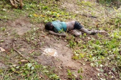 कोरबा ब्रेक,,,,, दंतेल हाथी ने फिर एक को मौत के घाट उतरा,,, मौके पर विभाग की टीम