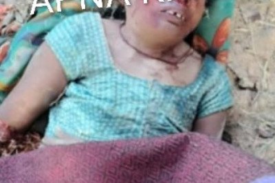 बिग ब्रेकिंग कोरबा... हाथी ने दूसरे दिन भी एक महिला को कुचला,, 24 घंटे में 2 महिला की मौत... वन विभाग पर उठे सवाल