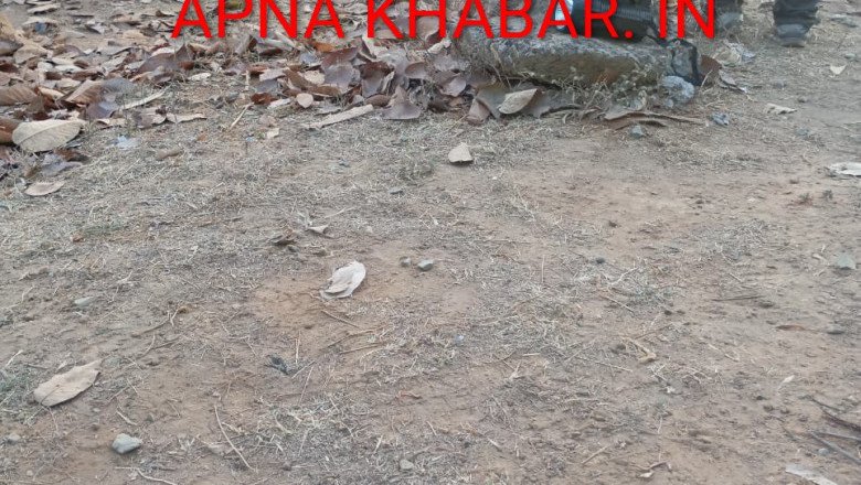 कोरबा बड़ी खबर,,होली की खुशियाँ मातम में बदली,,,फिर हुआ हाथी का हमला, धान मंडी प्रभारी की कुचलकर मौत — विभागीय लापरवाही पर भड़के कर्मचारी…