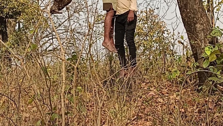 बिग ब्रेकिंग कोरबा,,,, दो दोस्तों ने एक पेड़ पर फांसी लगा कर दी जान...मृतको की हुई पहचान .